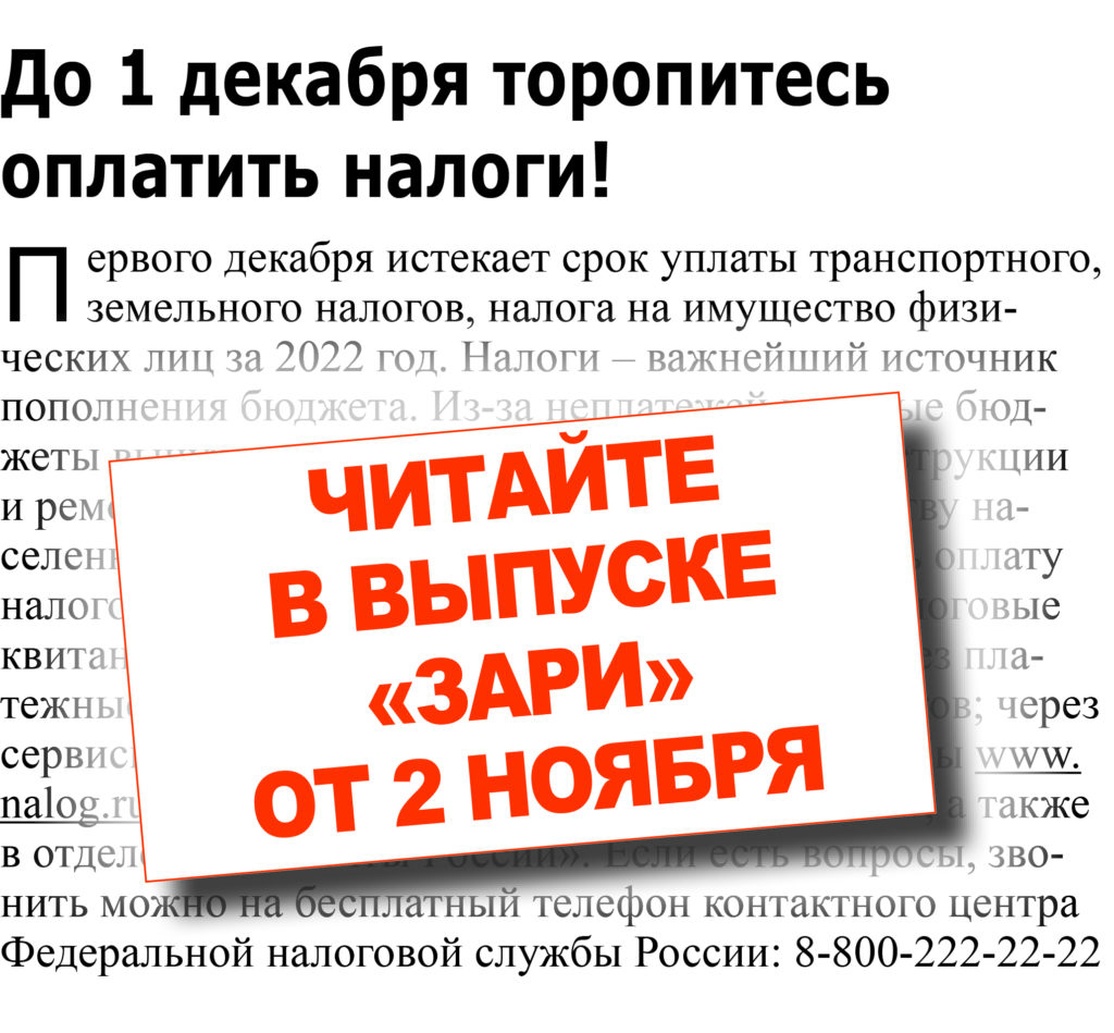 НОВЫЙ НОМЕР ГАЗЕТЫ «ЗАРЯ» ОТ 2 НОЯБРЯ | ZАРЯ ЕГОРЛЫКСКАЯ